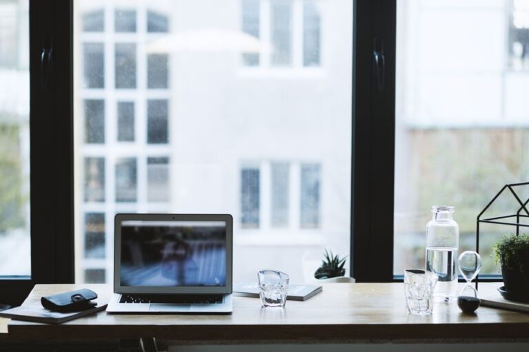 laptop and plant on desk by window